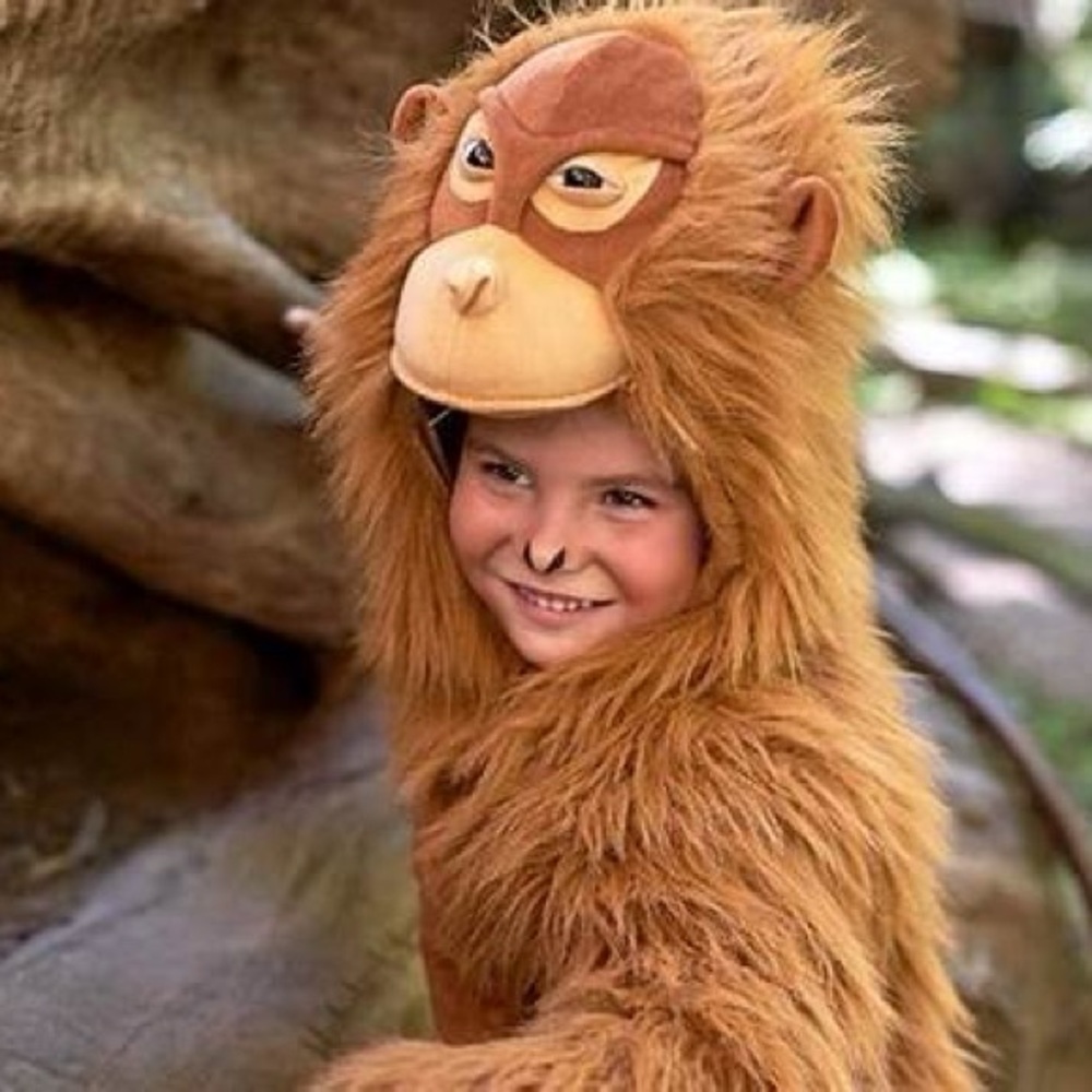 Pottery Barn Kids Brown Monkey Costume